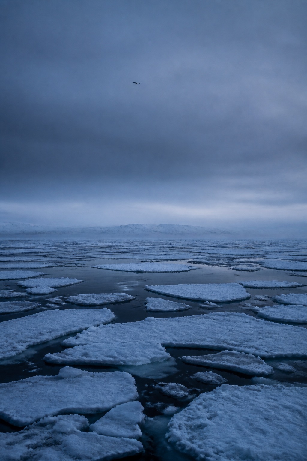 Sea ice drifting beneath a blue-grey Svalbard sky